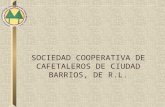 SOCIEDAD COOPERATIVA DE CAFETALEROS DE CIUDAD BARRIOS, DE R.L.