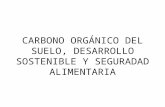 CARBONO ORGÁNICO DEL SUELO, DESARROLLO SOSTENIBLE Y SEGURADAD ALIMENTARIA