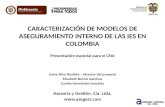 CARACTERIZACIÓN DE MODELOS DE ASEGURAMIENTO INTERNO DE LAS IES EN COLOMBIA