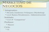 MARKETING  DE NEGOCIOS