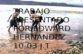TRABAJO PRESENTADO POR EDWARD HERNANDEZ 10-03 J.T