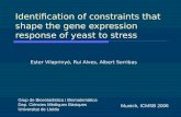 Identification of constraints that shape the gene expression response of yeast to stress
