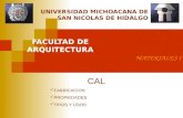 UNIVERSIDAD MICHOACANA DE SAN NICOLAS DE HIDALGO