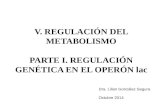 V. REGULACIÓN DEL METABOLISMO PARTE I. REGULACIÓN GENÉTICA EN EL OPERÓN lac