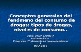 Conceptos generales del  fenómeno del consumo de drogas: tipos de drogas, niveles de consumo..