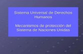 Sistema Universal de Derechos Humanos Mecanismos de protección del Sistema de Naciones Unidas