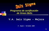 Programa de certificación  de Green Belts