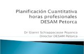 Planificación Cuantitativa horas profesionales DESAM Petorca