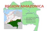 REGION AMAZONICA