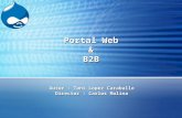 Portal Web & B2B