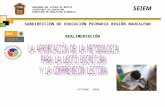 GOBIERNO DEL ESTADO DE MÉXICO SECRETARIA DE EDUCACION DIRECCIÓN DE EDUCACIÓN ELEMENTAL