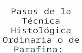 Pasos de la T©cnica Histol³gica Ordinaria o de Parafina: