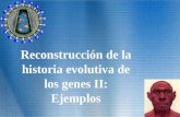 Reconstrucción de la historia evolutiva de los genes II: Ejemplos