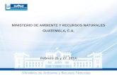 MINISTERIO DE AMBIENTE Y RECURSOS NATURALES GUATEMALA, C.A. Febrero 26 y 27, 2014
