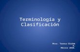 Terminología y Clasificación