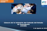 Cámara de la Industria del Calzado del Estado de Guanajuato (CICEG)