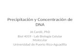 Precipitación y Concentración de DNA