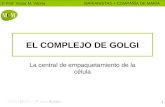EL COMPLEJO DE GOLGI