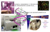 GENES, GENOMAS Y TÉCNICAS DE INGENIERÍA GENÉTICA...