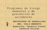 Programas  de  riesgo  neonatal y de  prevencion  de  accidentes
