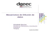 Elizabeth Barrios Directora de Planificación y Coordinación  Estadística Paraguay J unio  de 2013