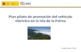 Plan piloto de promoción del vehículo eléctrico en la Isla de la Palma