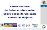 Banco Nacional  de Datos e Información  sobre Casos de Violencia  contra las Mujeres