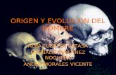 ORIGEN Y EVOLUCIÓN DEL HOMBRE