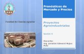 Proyectos  Agroindustriales