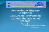 Seguridad e Higiene Industrial Cultura de Prevención Calidad de vida en el trabajo (CVT)