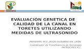 EVALUACIÓN  GENETICA DE CALIDAD DE LA CANAL  EN TORETES UTILIZANDO  MEDIDAS DE  ULTRASONIDO
