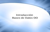 Introducción  Bases de Datos OO