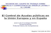 REUNION DEL GRUPO DE TRABAJO SOBRE COMERCIO Y COMPETENCIA DE AMERICA LATINA Y EL CARIBE