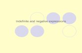 Indefinite and negative expressions