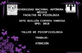UNIVERSIDAD NACIONAL AUTÓNOMA DE MÉXICO FACULTAD DE PSICOLOGIA  SOTO GUILLÉN CINTHYA VANESSA
