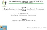 ESCUELA NORMAL SUPERIOR “MIXTECA BAJA”, A. C. CLAVE 21PNL0010C