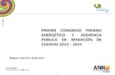 PRIMER CONGRESO MINERO ENERGÉTICO Y AUDIENCIA PÚBLICA DE RENDICIÓN DE CUENTAS 2013 – 2014