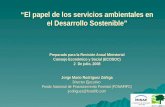 “El  papel  de los  servicios ambientales  en el  Desarrollo Sostenible ”