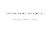 TURISMO E CULTURA 1 (TC1X1)