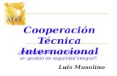 Cooperación Técnica Internacional