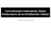 Comunicación Intercelular: Bases Moleculares de la Señalización Celular
