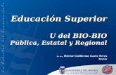Educación Superior U del BIO-BIO Pública, Estatal y Regional