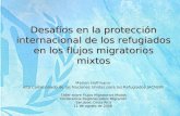 Desafíos en la protección internacional de los refugiados en los flujos migratorios mixtos