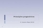 Principios pragmáticos