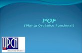 POF (Planta Orgánico Funcional)