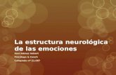 La estructura neurológica de las emociones