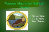 Parque Nacional Nahuel  Huapi