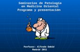 Seminarios de Patología en Medicina Oriental Programa y presentación