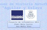 Proyecto de informática 2013 Iñaki Mata Castro  Ana  Moñiz  Díez