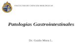 Patologías Gastrointestinales